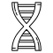 DNA Sequence