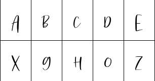 Fontysia