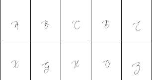 Area Type