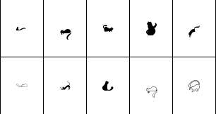 Isabella Ahmazadeh & Cosimo Lorenzo Pancini