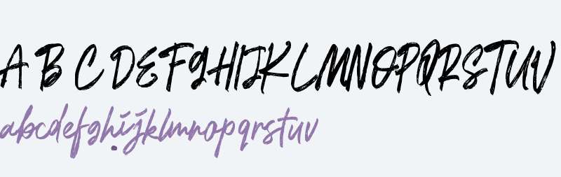 La Placha Personal Use