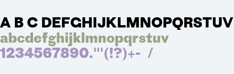 ProtoGroteskWeb Bold