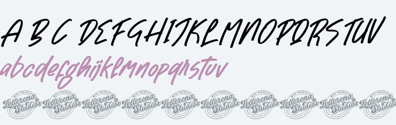 Pontipect Maxims Italic DEMO VE