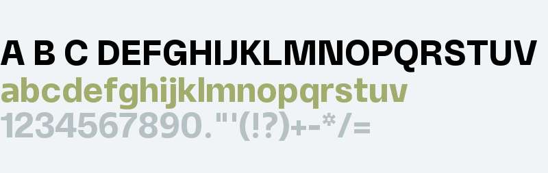 Winter Sans Trial Bold