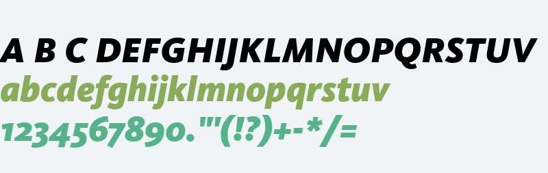 Kievit Black Italic