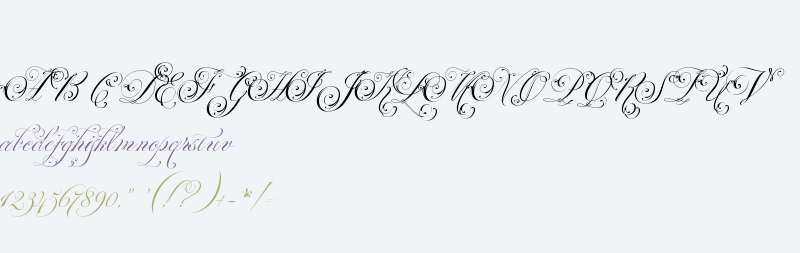 ParfumerieScriptDecorative