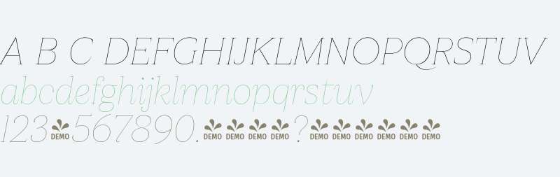 FSP DEMO - Apparel Thin It