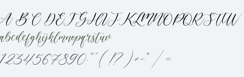 zy elegant Fonts Free Download - OnlineWebFonts.COM