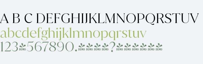 FSP DEMO - Juana Light