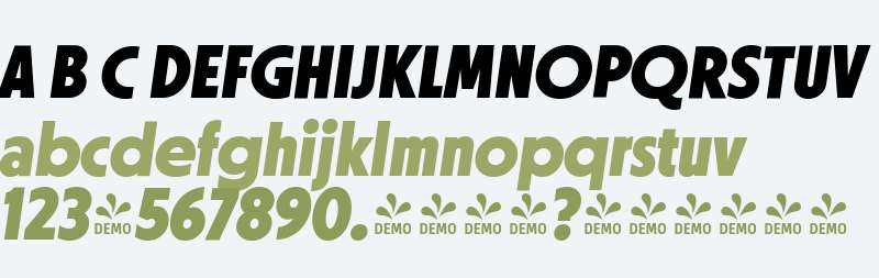 FSP DEMO - ttrc Dsply xtrBld