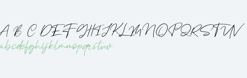 Margott Rooster Free