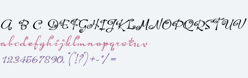 HoofBrush Spiral Obl W00 Rg