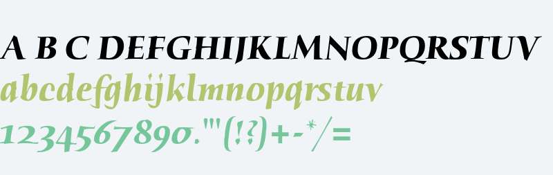 Humana Serif ITC Std Bold Italic