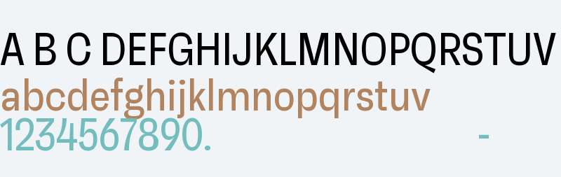 RB Faktum Neue Condensed Test
