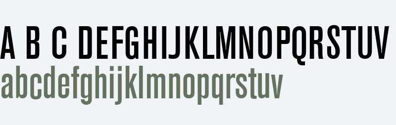 Akzidenz-Grotesk Condensed BQ