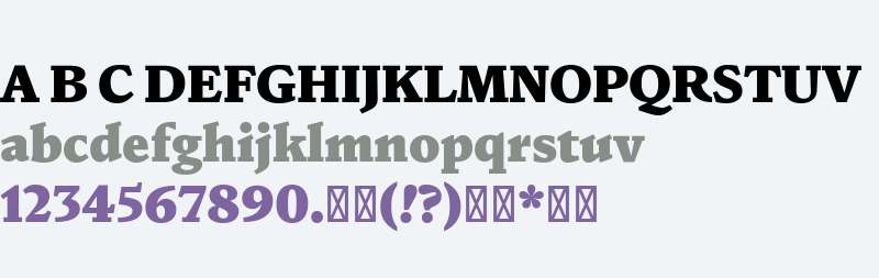 NaN Druid-TRIAL Black