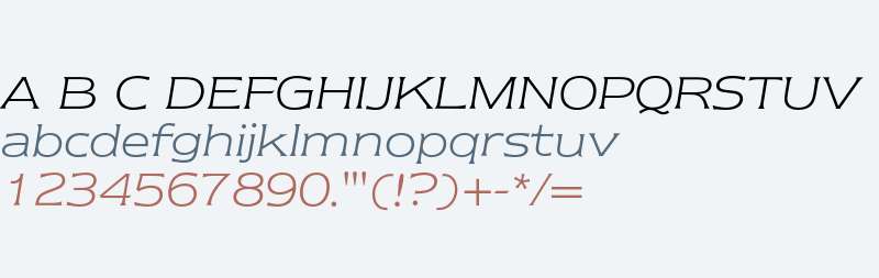 Newtext Light Italic