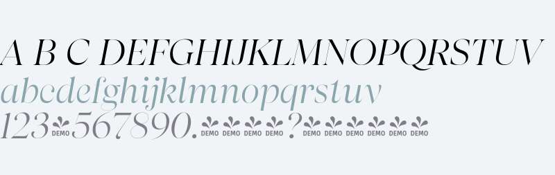 FSP DEMO - Apparel Display It