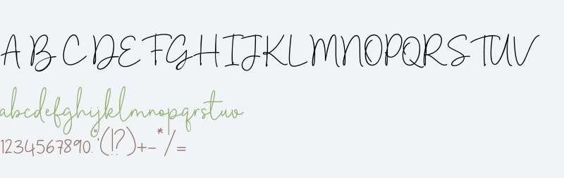 Estrella Signature DEMO DEMO