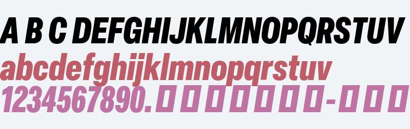 Elza Trial Condensed Black Oblique