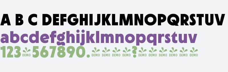 FSP DEMO - Cygnet CF Heavy