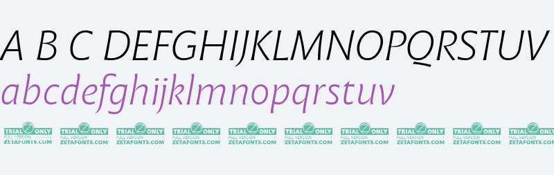 Malik Trial Light Italic