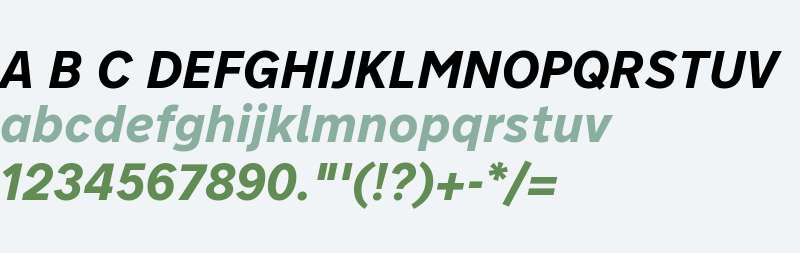 Nort W07 Bold Italic