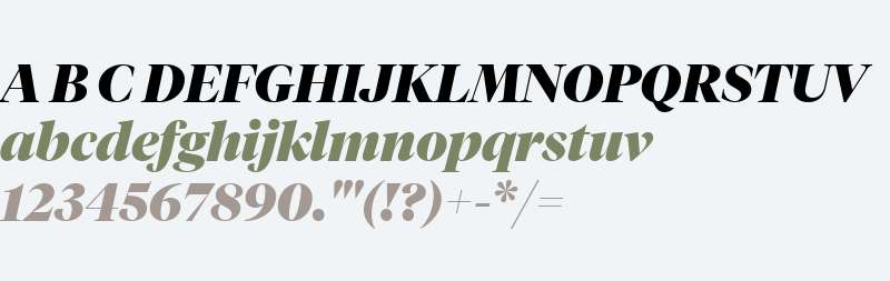 TiemposFine Italic