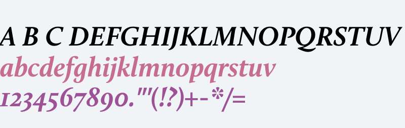Calluna W03 Bold Italic