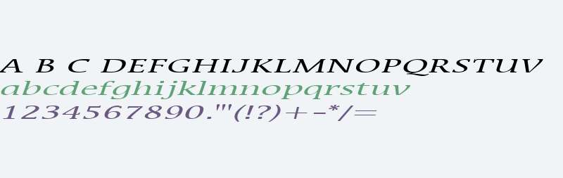 Mirror Extended Italic