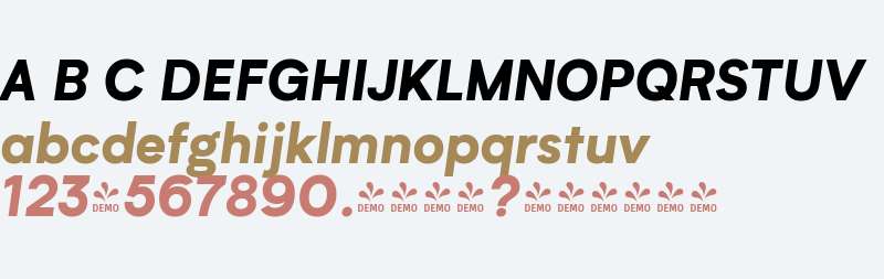 FSP DEMO - Biotif Black Italic