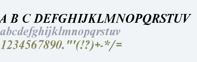 NimbusRomDCY Bold Italic