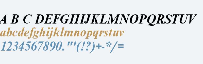 NimbusRomDGR Bold Italic