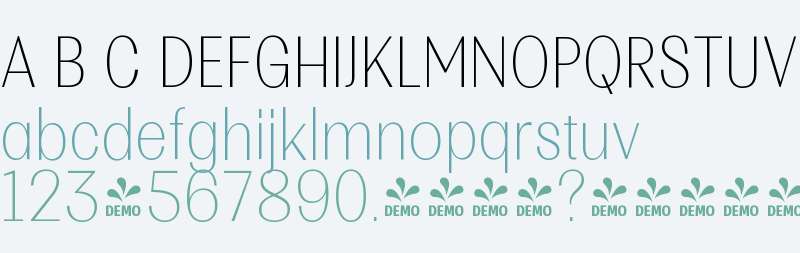 FSP DEMO - Multipa Thin