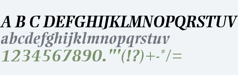 Ellington MT W04 Bold Italic