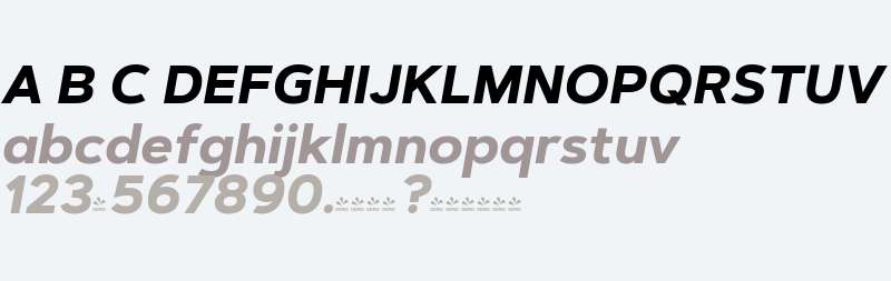 FSP DEMO - Artegra Sans Alt