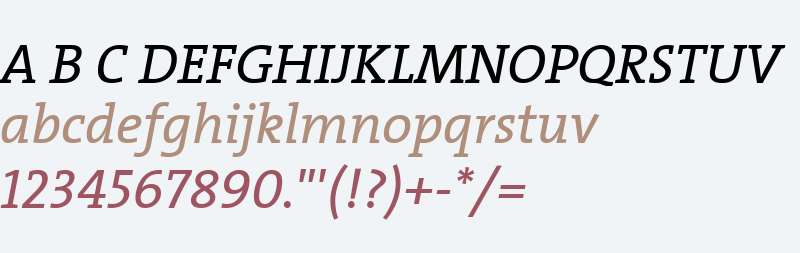 TheSerifRio2016 Italic