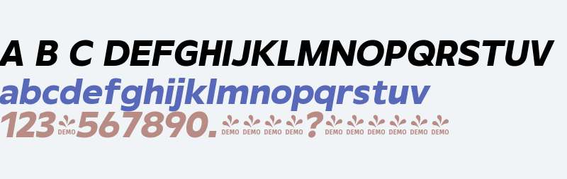 FSP DEMO - Rafine Black Italic