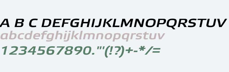 EtelkaWideMediumPro-Italic