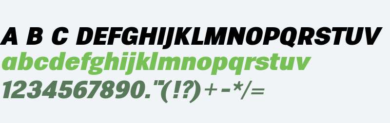 Eurotypo Sans Black Italic