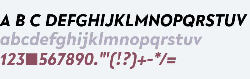 R-Flex Bold Italic