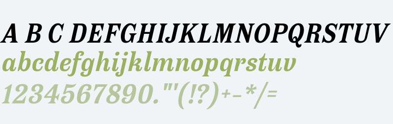 Antica Bold Italic