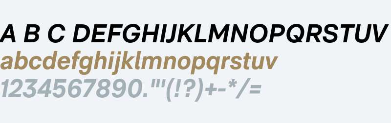 RM Neue Bold Italic