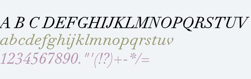 Didot eText W01 Italic