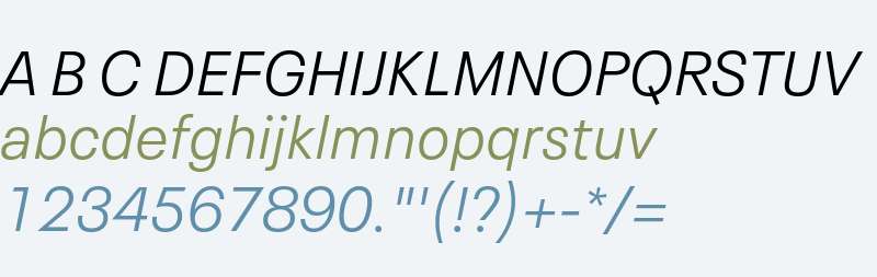 Neue Plak Text W04 Light Italic