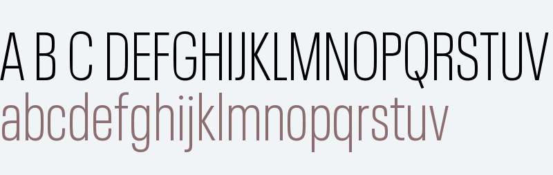 Neue Plak W04 Condensed Light