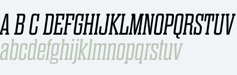 Dharma Slab E W01 Light Italic