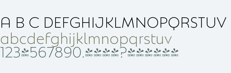 FSP DEMO - Natom Pro Light