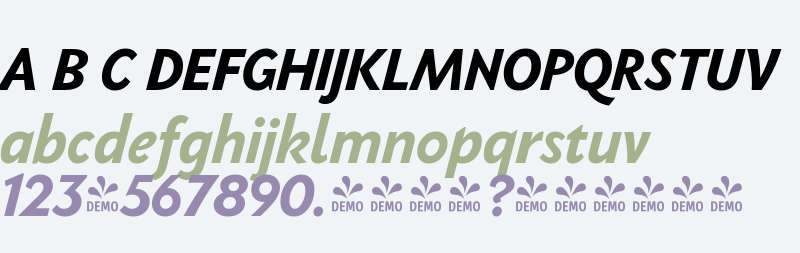 FSP DEMO - PGF-Now Bold Italic