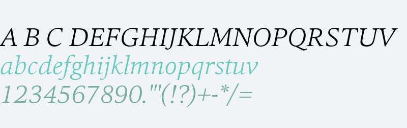 Quant Text W01 Light Italic